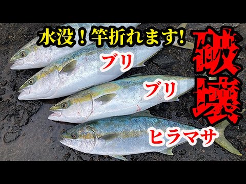 悲劇 ショアジギング ヒラマサに引きずり込まれ 竿 ルアーを破壊される 鹿児島 釣り Youtube