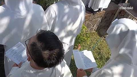 Những thông tin chưa tiết lộ về vụ Cha Giuse Trần Ngọc Thanh- Chia Sẻ Lời Chúa