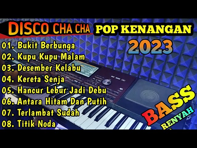 ALBUM DISCO CHA CHA TERBARU POP KENANGAN PILIHAN 2023 class=