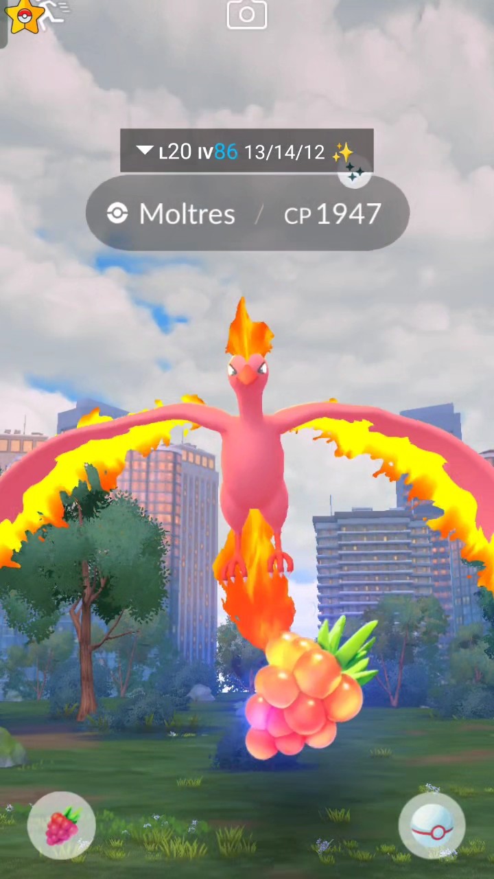 Pok&eacute;mon Go | Moltres Cromato (Shiny) Del 2019 | Scambio Garantito Lucky Con Polvere 20k-1M