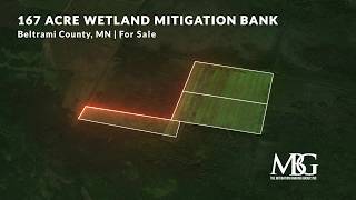 Figliuzzi Wetland Mitigation Bank | 163-Acre Sedge Meadow | Beltrami County, Minnesota | For Sale