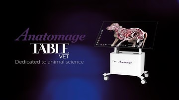 Anatomage Table Vet