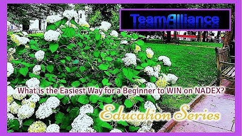 What is the Easiest Way for a Beginner to WIN on NADEX? | #TeamAlliance