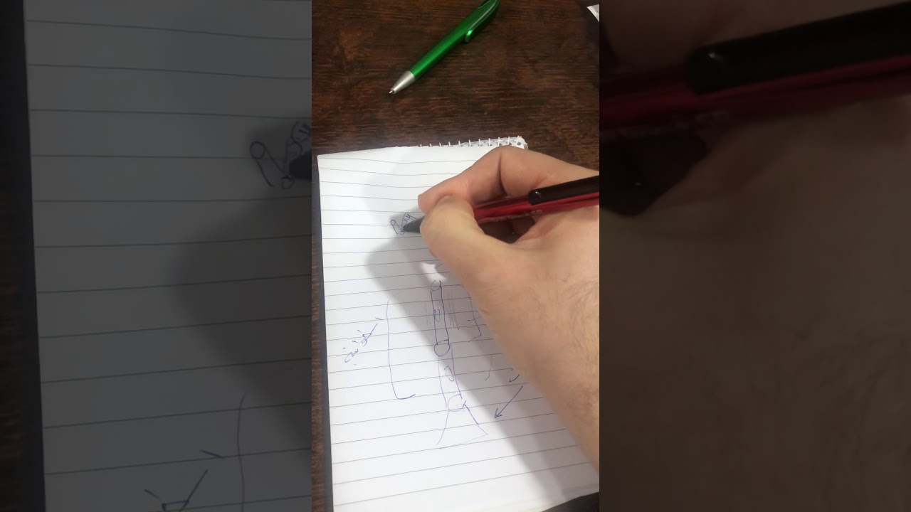 طحالب عملي / المرحلة الثالثة / الطحالب الخضراء جنس oedogonium