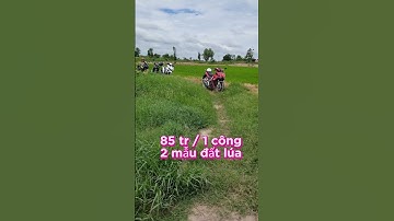 2 mẫu đất lúa ở xã bình thạnh,mộc hóa,long an Sđt 0979920397