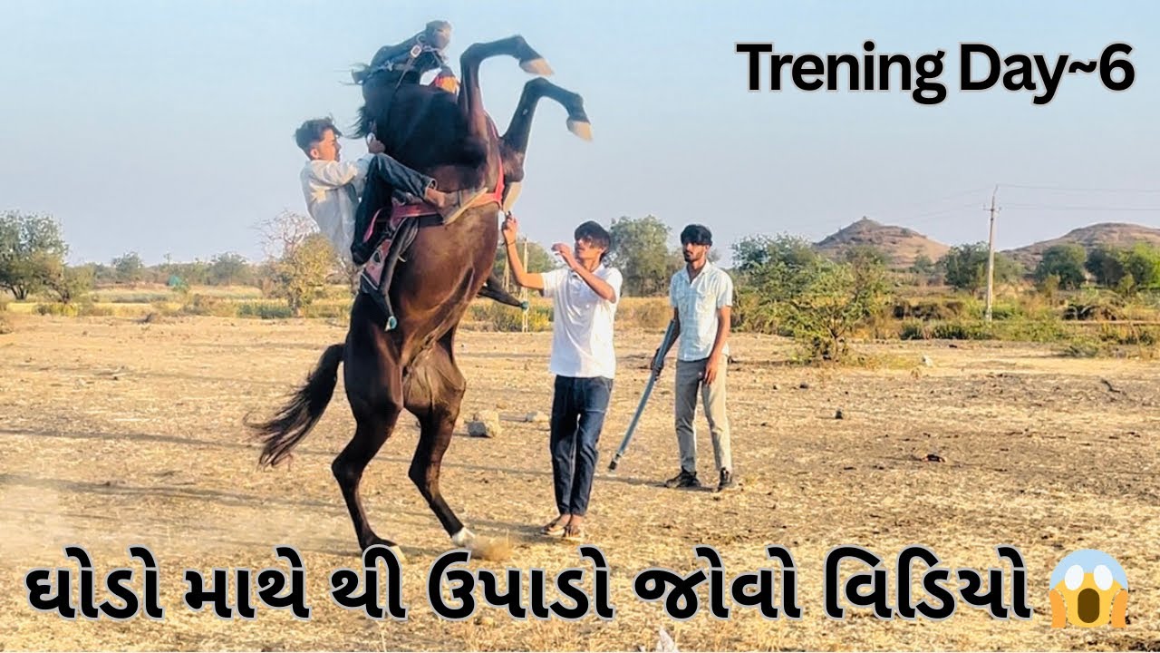ઘોડા ને માથે થી ઉપાડો જોવો વિડિયો ? 😱🎠 Trening Day~6