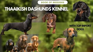 Dachshund dog kennel | Dogs and puppies for sale | Puppy price list | kennels in tamilnadu | kci reg by Book of breeders 6,735 views 9 months ago 16 minutes