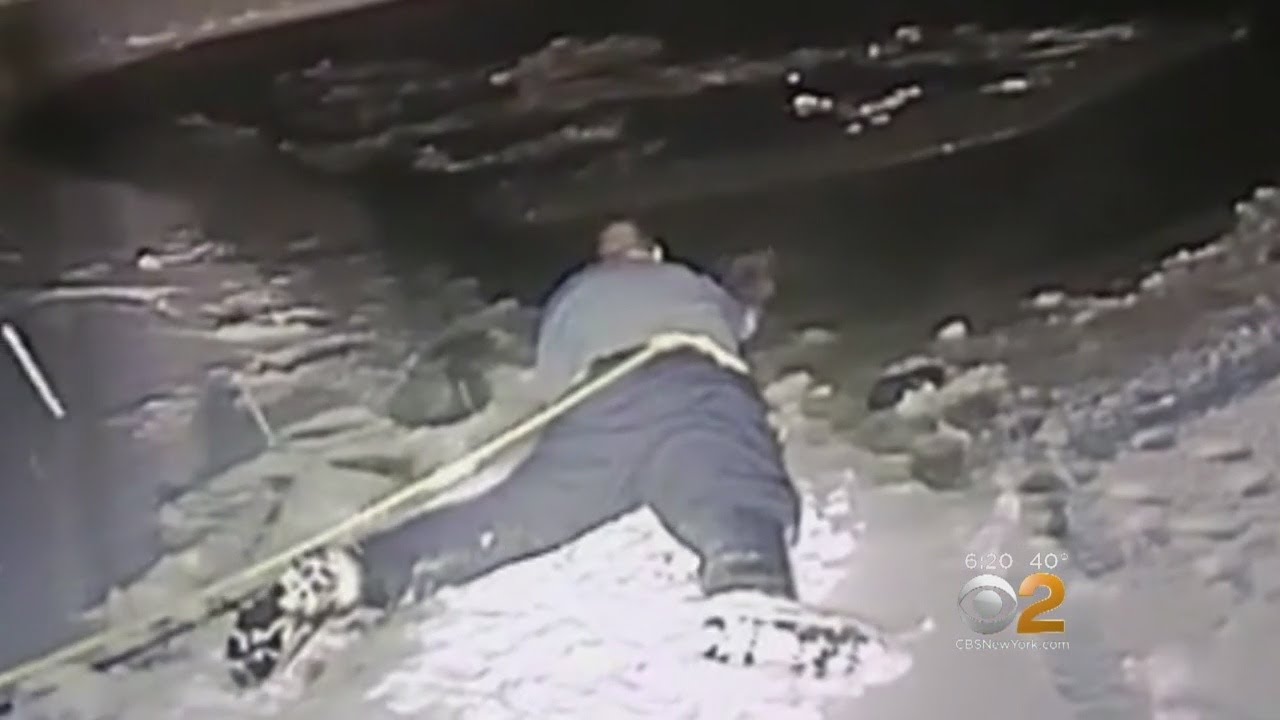 Heroic Officers Save Dog From Frozen Backyard Pond In New Jersey - YouTube