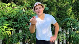 Your Friend Who Loves Gardening by Matt Shaver 151 views 8 months ago 3 minutes, 2 seconds