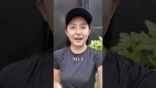 The Local‘s Guide to Beijing 4 Secrets Tourists Never Learn#chinatravel!WhatsApp: +86 180 9897 1707.