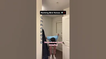 Ranking Bird Noises 🐦💯 Insp. By @okcron