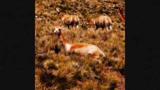 De Santa Victoria a Villazón (Salta-Argentina-2009)