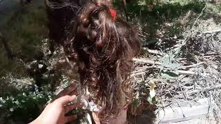 Bahçeden Meyve Topluyoruz