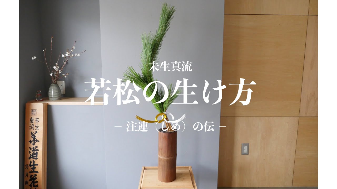 お正月の若松の生け方 格花 主位 三才格 未生真流 Ikebana Pinus Thunbergii Youtube