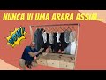 Incrível o resultado desse trabalho, essa arara para roupas resolve seu problema de aspaço.