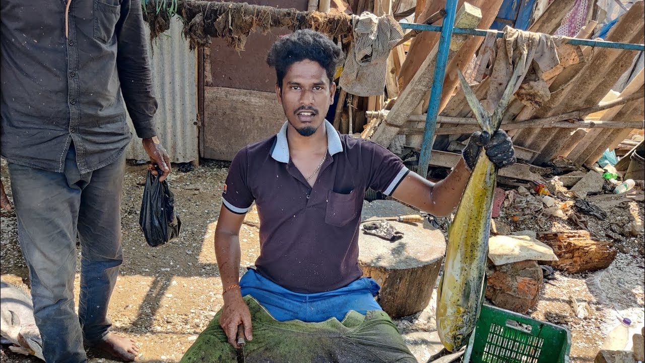 MAHI MAHI  FISH CUTTING