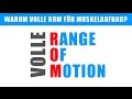 Volle Range of Motion – Warum eine komplette Bewegung für den Muskelaufbau besser ist?