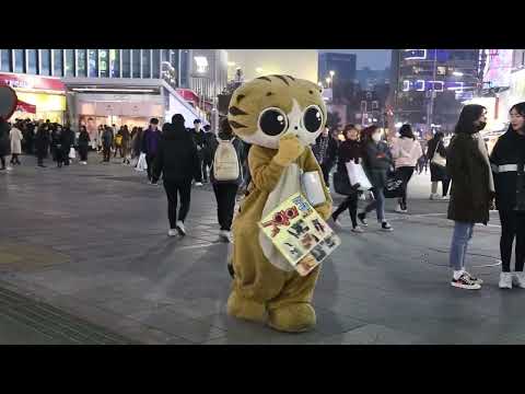 JHKTV] 신촌 명물고양이 내일을 향한 희망이 있으메   shin chon special <strong>cat</strong> I have <strong>hope</strong> for tomorrow