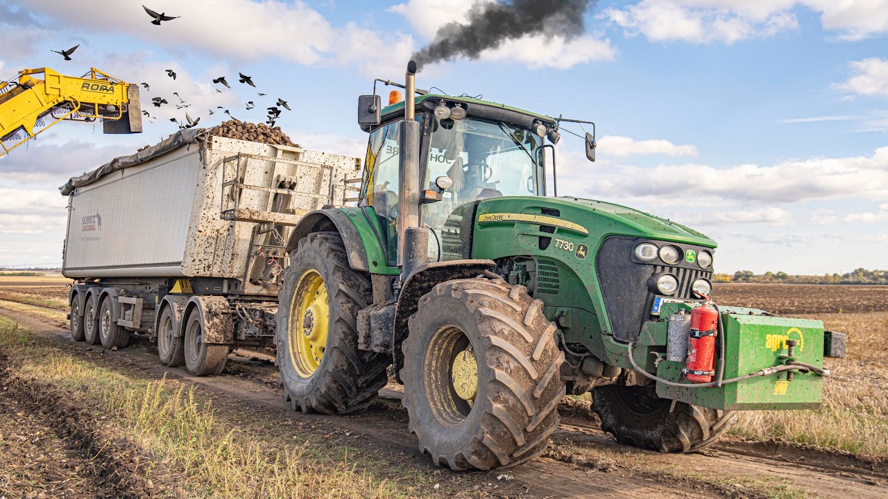 Sugar Beet Transport in MUD 