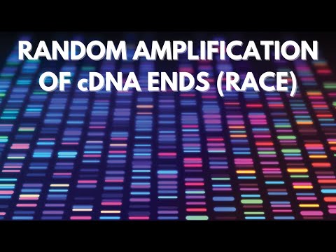 Rapid Amplification of cDNA Ends (RACE) | Genomics
