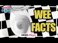  facts about weeeeeee   operation ouch  cbbc