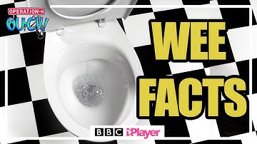 🚽 Facts about WEEEEEEE 🚽 | Operation Ouch | CBBC