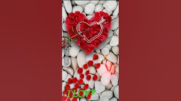 R🥰Name Status or Whatsopp/aoverstatus Trending Name StatusVideo Name Status 2022 RK Creation. 199