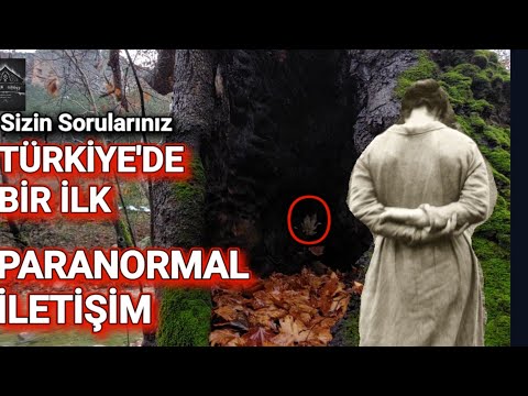 Ormanda Tek Başıma Paranormal İletişim Kurdum