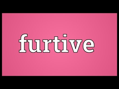 Furtive Meaning