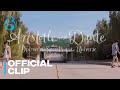 Trailer Teaser