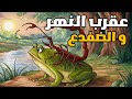 قصة العقرب و الضفدع وتعلم الحكمة منها قصص واقعية تعلم اكسبلور لايك قصة العقرب و الضفدع وتعلم الحكمة منها قصص واقعية تعلم اكسبلور لايك