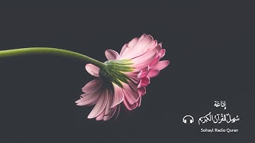 تـلاوة مختارة من سورة الانبياء يتلوها القارئ |  احمد النفيس