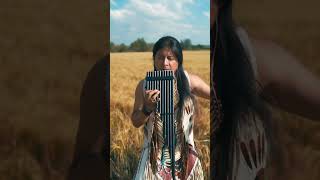 Spirituality - Meditation music - Pakari (Native flutes)