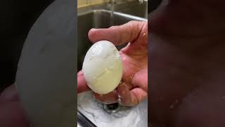 Easy Egg Peeling Hack