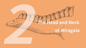 Rosana the Miragaia 2: Head and Neck | Learn to Draw Dinosaurs with ZHAO Chuang