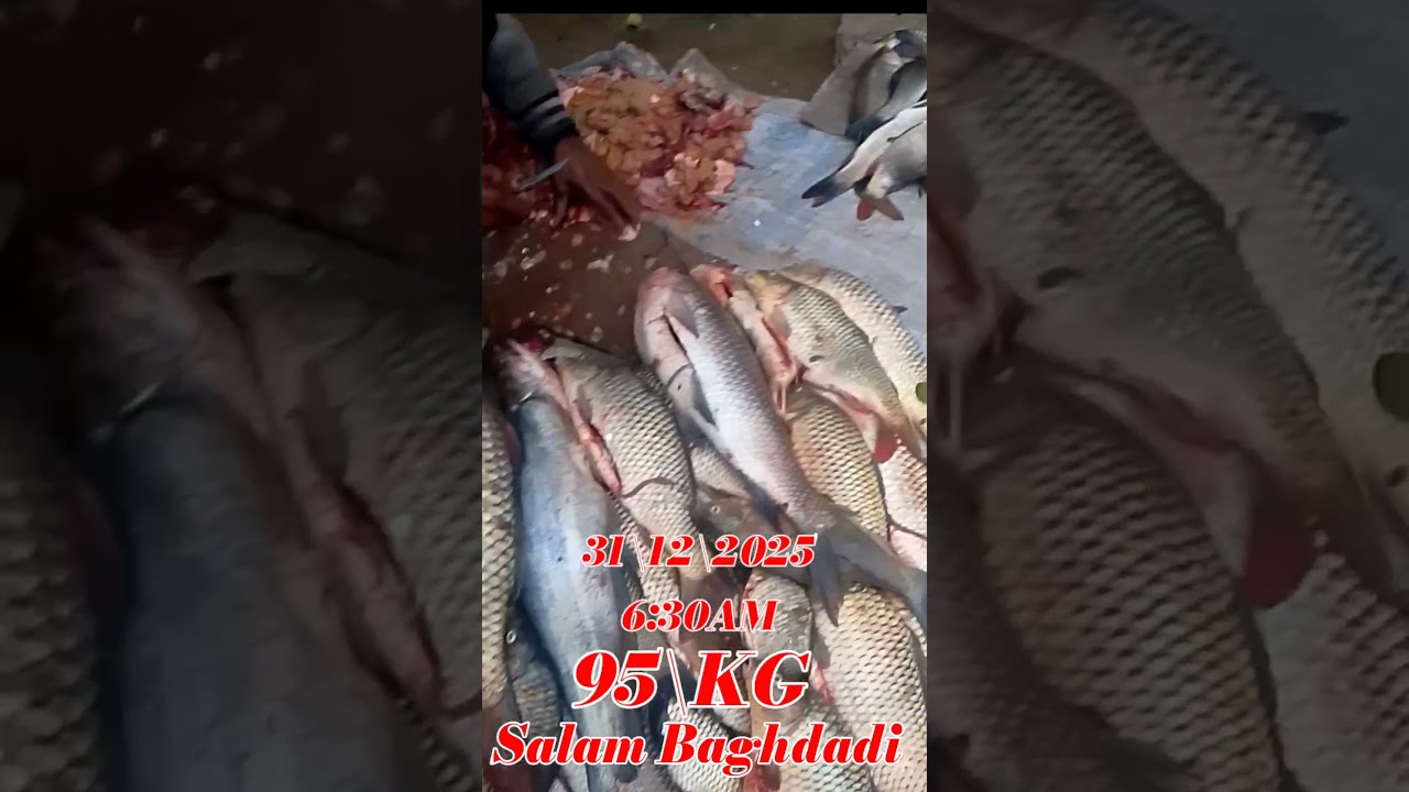 Headset Nahin Diya Hai Ravi Machhi ki video New 2026 🐟🐟🐟🐟🐟🐟