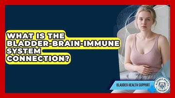 What Is The Bladder-brain-immune System Connection? - Bladder Health Support