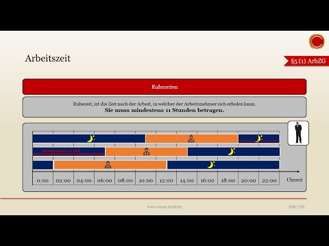 Video: Wird dieser Arbeitgeber als professionelle Arbeitgeberorganisation auftreten?