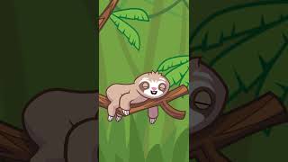 Sammy The Sloth