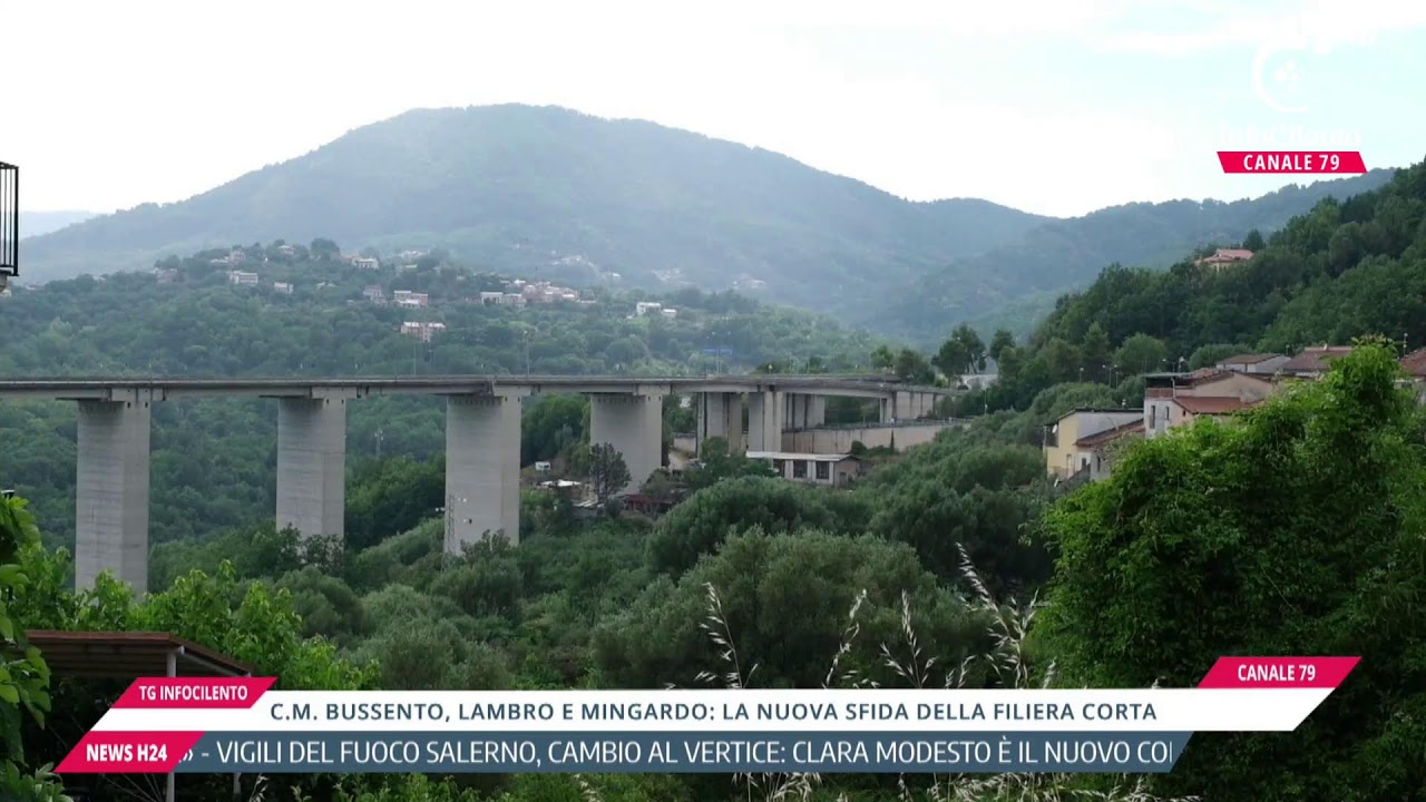 TG INFOCILENTO 24 GIUGNO 2026