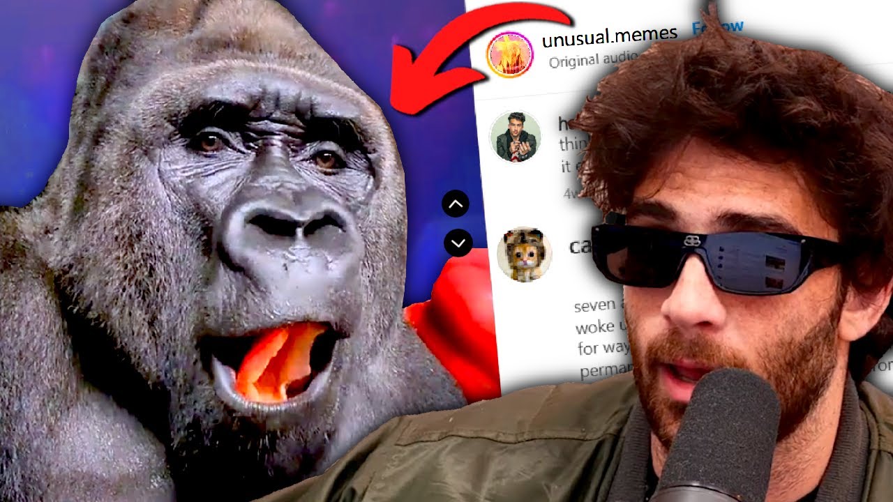 HasanAbi reacts to UNUSUAL MEMES COMPILATION V224