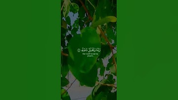 رَبِّ ٱجۡعَلۡنِي مُقِيمَ ٱلصَّلَوٰةِ وَمِن ذُرِّيَّتِيۚ #المنشاوي #سورة_إبراهيم #تلاوة_خاشعة#يارب