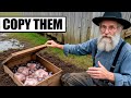 How Amish Preserve Food During Summer Without Gas/Electricity