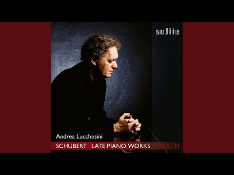 Piano Sonata No. 19 in C Minor, D. 958: I. Allegro