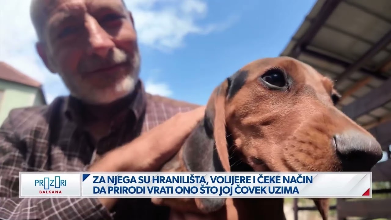 Newsmax Balkans - Kako postati lovac? 