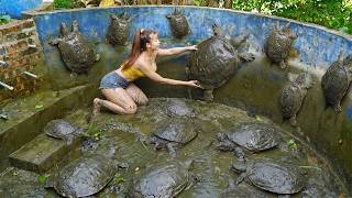 Harvesting Hundreds of Soft-Shell Turtles from Muddy Tanks | Taking Them to Market to Sell screenshot 3