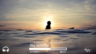 Goldroom Feat Mammals - Till Sunrise