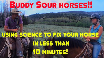 Helping a buddy sour horse get over his buddies in less than 10 minutes!