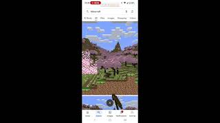 Famous New biome + Google Minecraft Easter Egg 🥚 Wealth