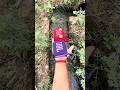#speaker JBL go4 testing water nali testing